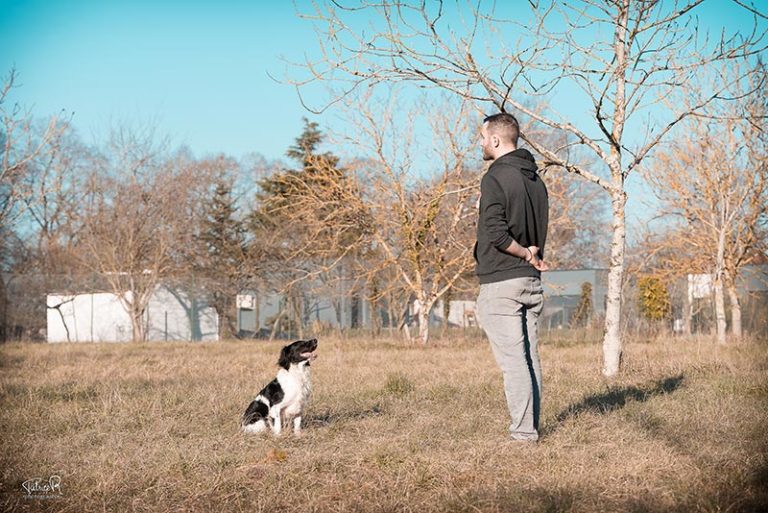 Cours d'éducation canine avec Romuald Deschodt